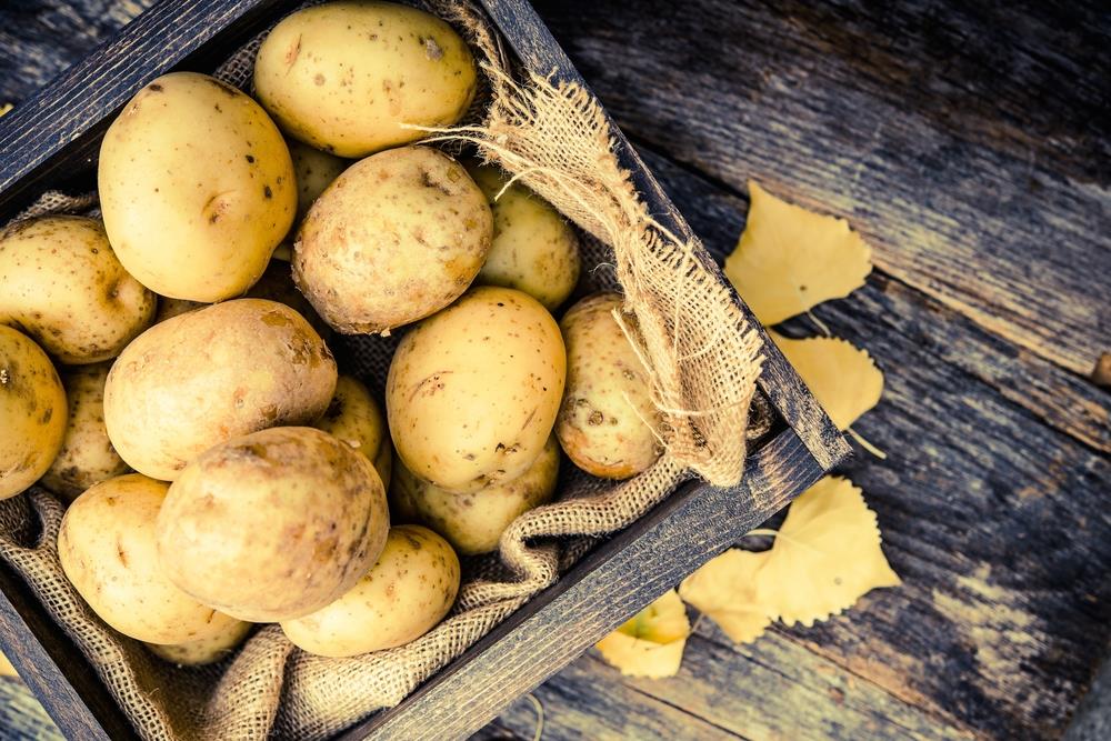 How To Grate Potatoes In A Ninja Blender In 5 Seconds