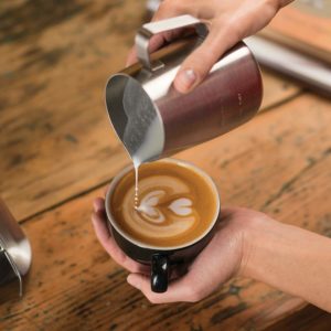 Breville creatista review